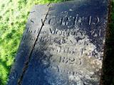 image of grave number 546364